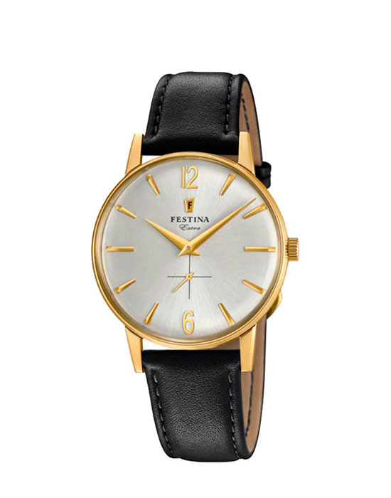 Часы Festina Extra 20249.2