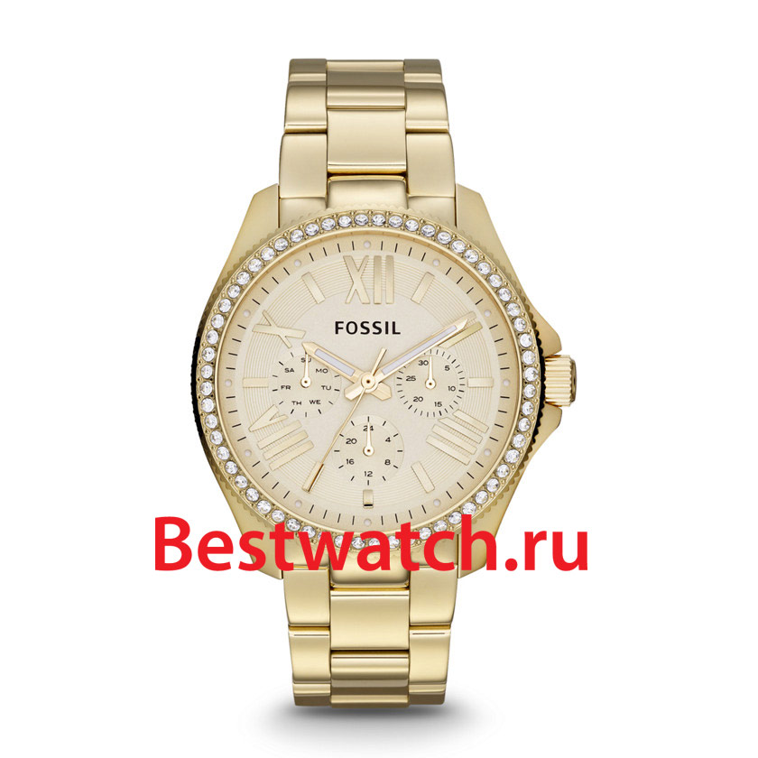 Часы Fossil Cecile AM4482