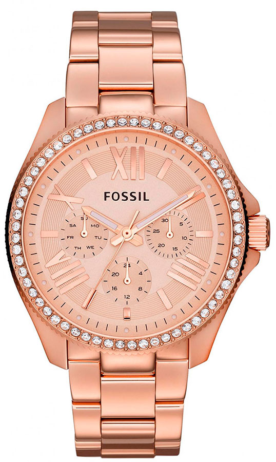Часы Fossil Cecile AM4483