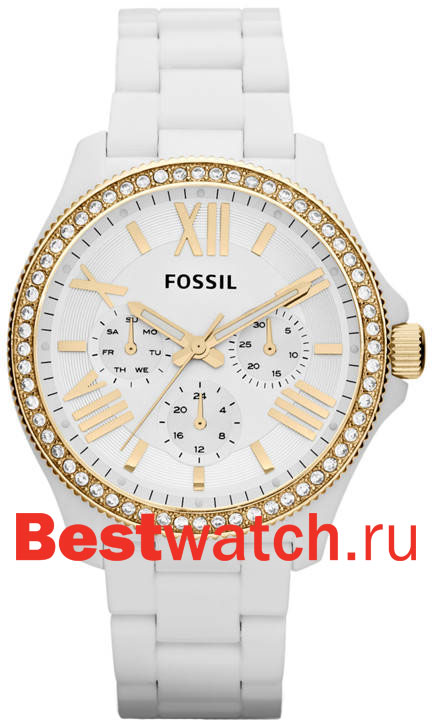 Часы Fossil Cecile AM4493