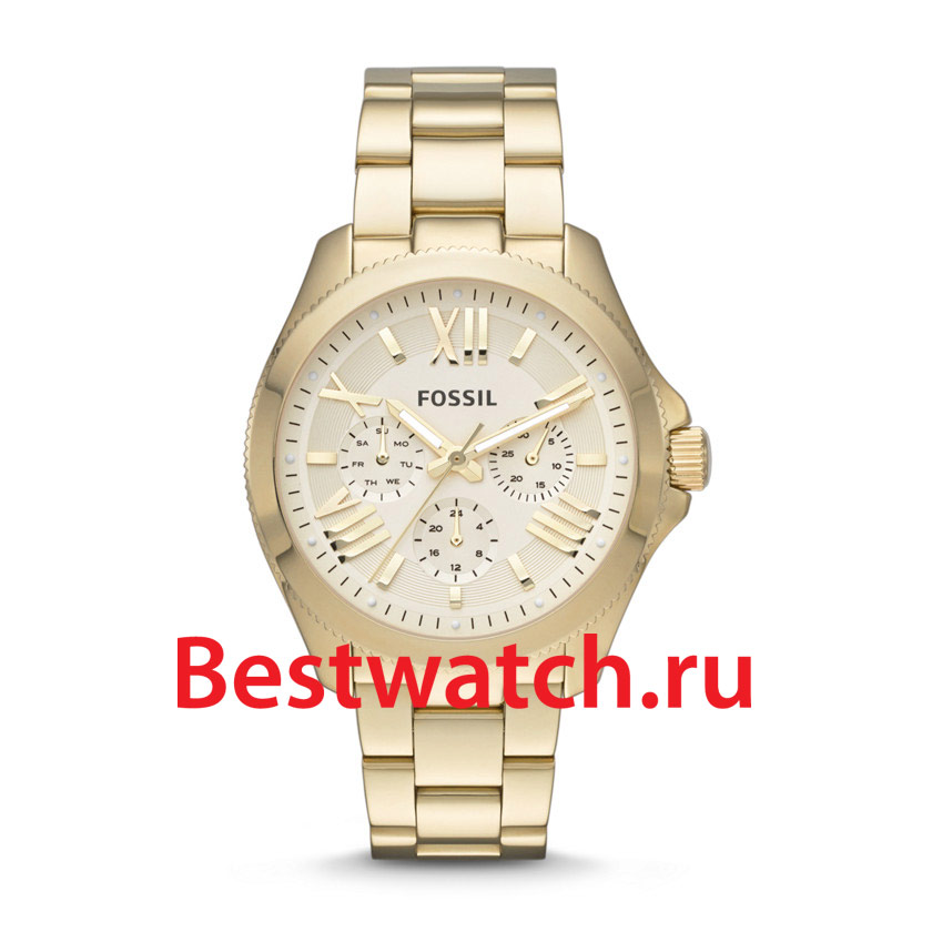 Часы Fossil Cecile AM4510