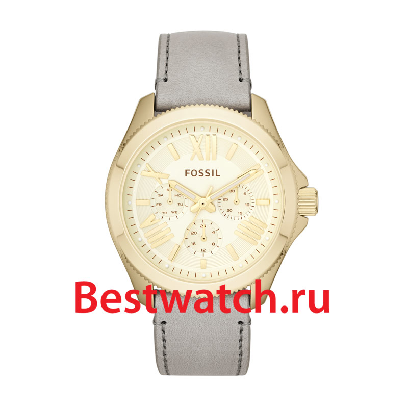 Часы Fossil Cecile AM4529
