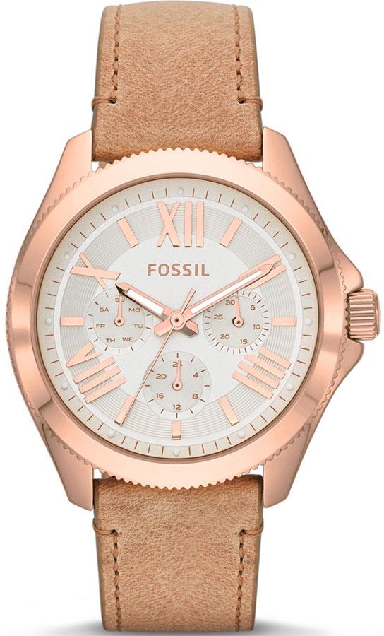 Часы Fossil Cecile AM4532