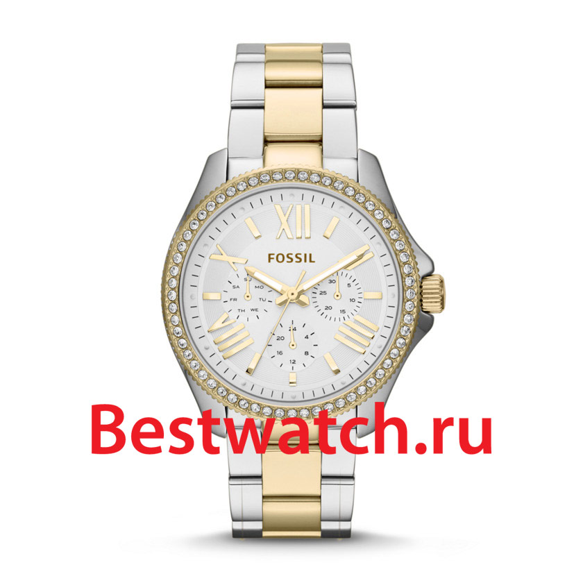Часы Fossil Cecile AM4543