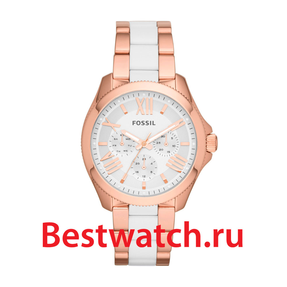 Часы Fossil Cecile AM4546