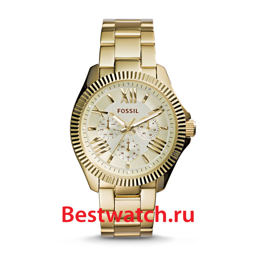 Часы Fossil Cecile AM4570