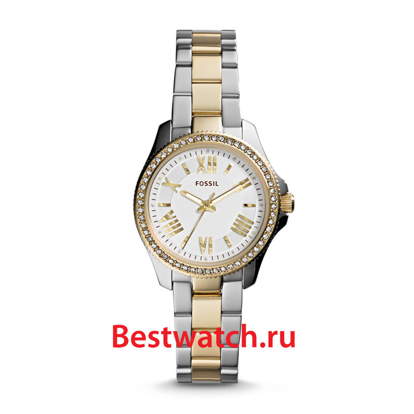 Часы Fossil Cecile AM4579