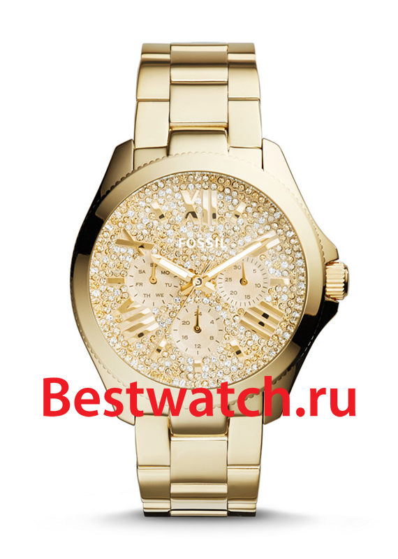 Часы Fossil Cecile AM4603