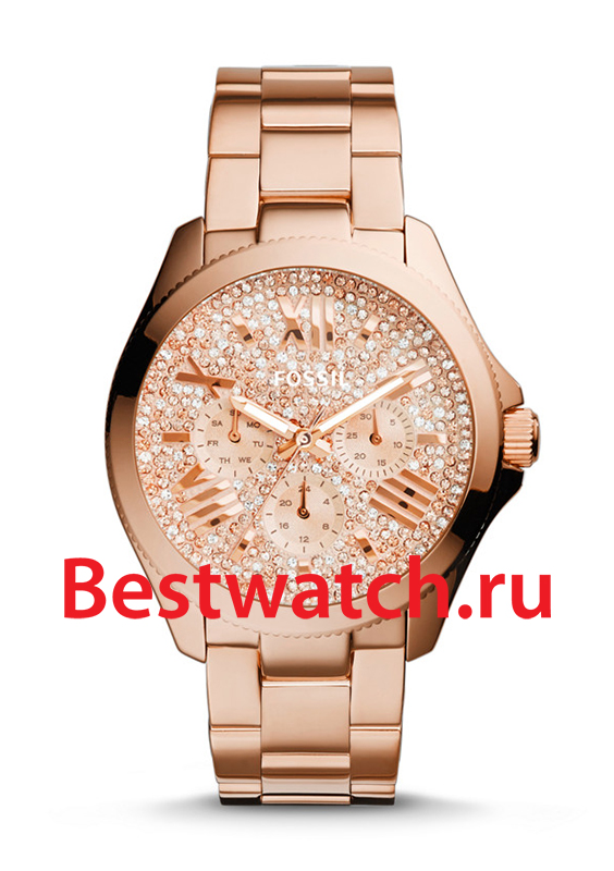 Часы Fossil Cecile AM4604