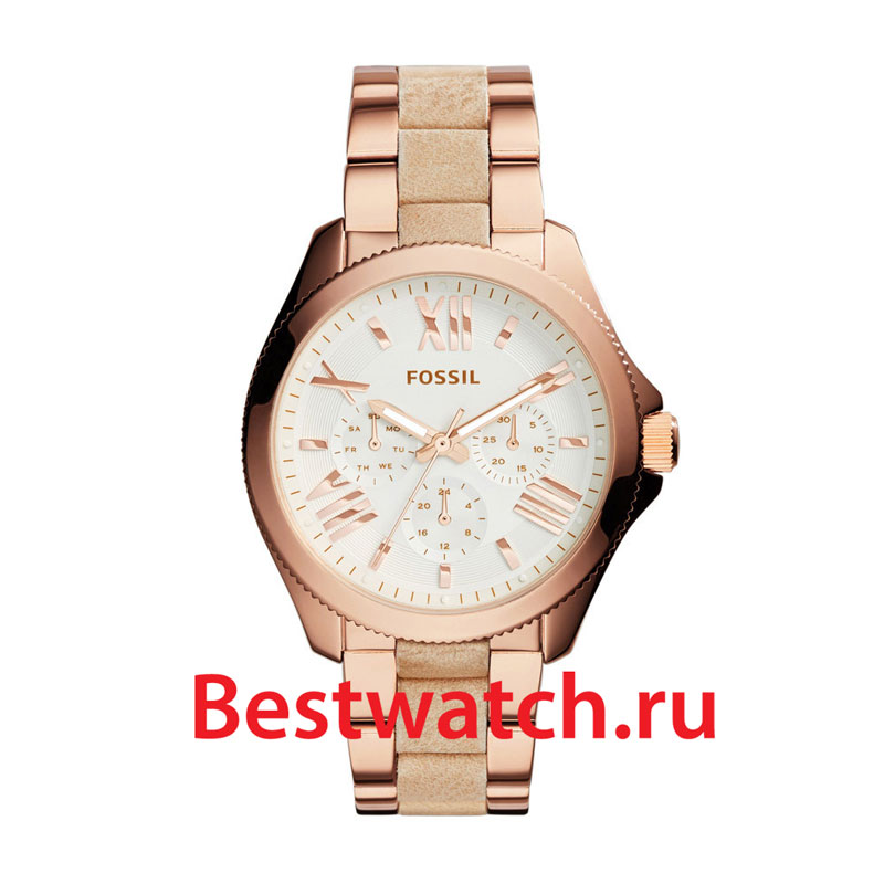 Часы Fossil Cecile AM4622