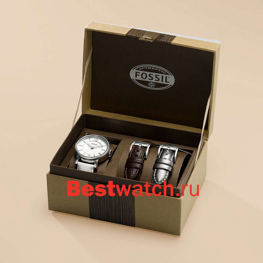 Часы Fossil Set ES2709