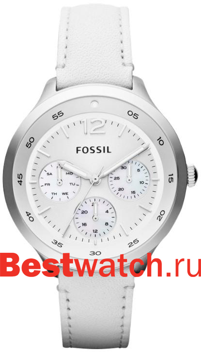 Часы Fossil Multifunction ES3249