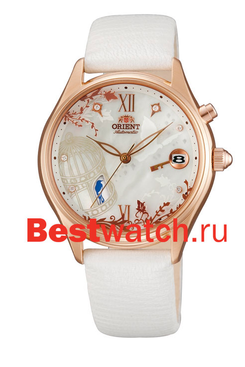 Часы Orient Fashionable Automatic DM00001W