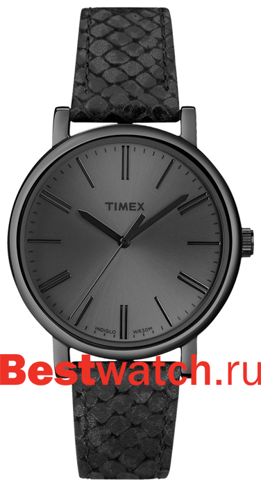 Часы Timex Easy Reade T2N959