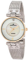 Anne Klein Diamond 9851MPTT