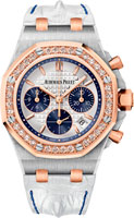 Audemars Piguet Royal Oak Offshore 26234SR.ZZ.D202CR.01