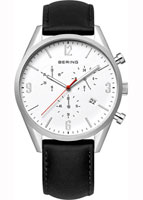 Bering Classic 10542-404