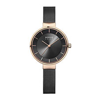 Bering Solar 14631-166
