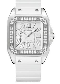 Часы Cartier Santos WM50460M