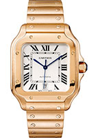 Cartier Santos de Cartier WGSA0007