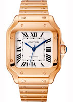 Cartier Santos de Cartier WGSA0008