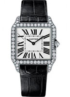 Cartier Santos de Cartier  WH100251