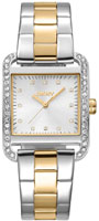 DKNY City Glitz DK1L003M0045