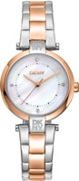 DKNY Essential Mini DK1L043M0095