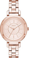 DKNY Ellington NY2584