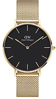 Daniel Wellington EVERGOLD DW00100345