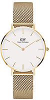 Daniel Wellington EVERGOLD DW00100348