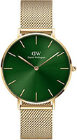 Daniel Wellington Petite Unitone DW00100481