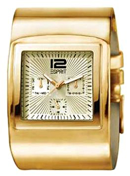 Часы Esprit Assorted ES101612003