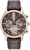 Gant Ridgefield GT005003
