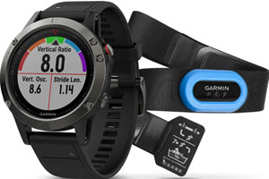 Garmin Fenix 5S 010-01688-32