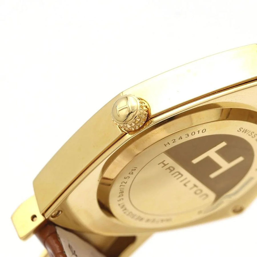 Hamilton H24301511