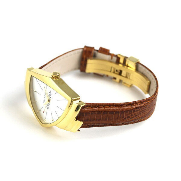 Hamilton H24301511