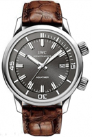 IWC Vintage IW323104