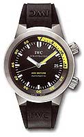 IWC AQUATIMER IW353804
