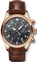 IWC UTC Pilot Watch IW371713