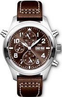 IWC Pilots Watch IW371808