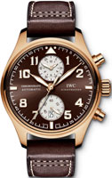 IWC Pilots watch IW387805