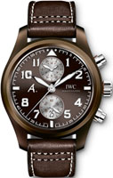 IWC Pilots Watch IW388005
