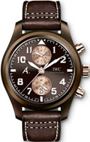 IWC Pilots Watch IW388006