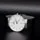 Obaku V153GDCIRB