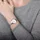 Obaku V166LXCIMC