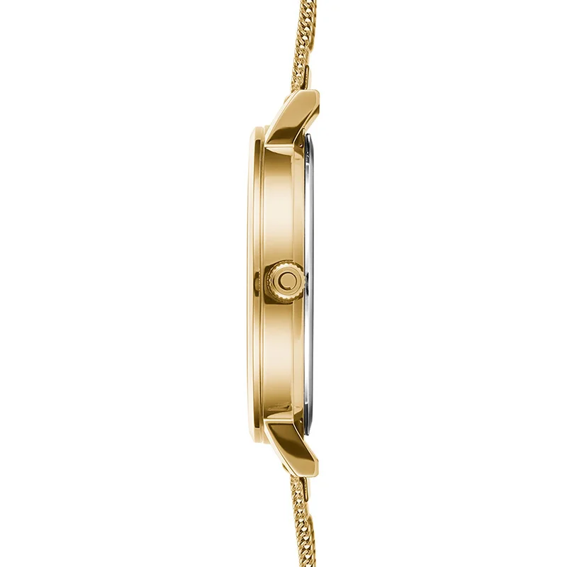 Obaku V248LXGIMG