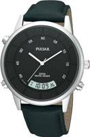 Pulsar On The Go PVR049X1