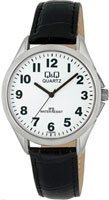 Q&Q IP Series C192J304