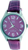 Q&Q IP Series C192J325